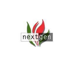 nextgen3.png